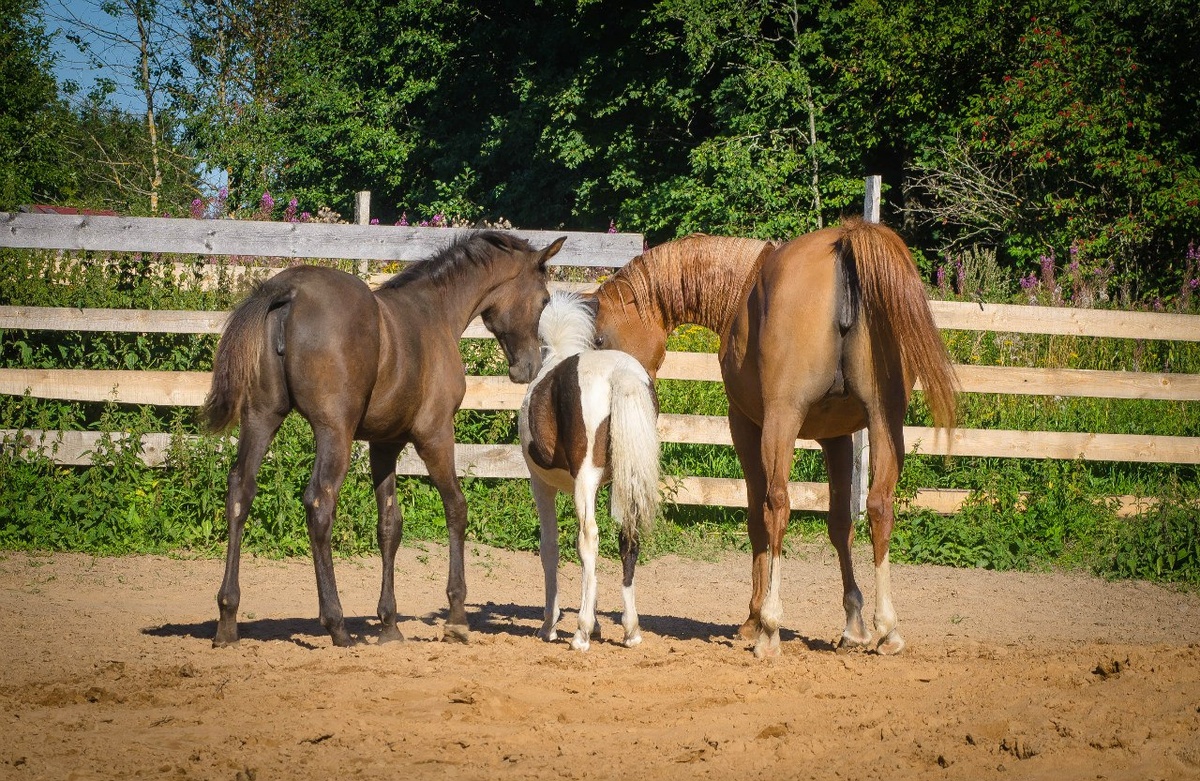 Фото автора канала.