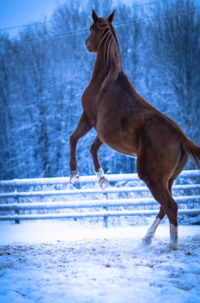 Фото автора канала.Вечернее шоу Мэрилин.