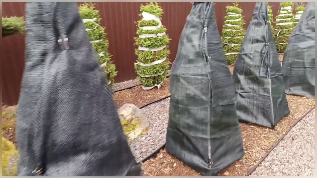 2) Защита от солнечных ожогов. ☀️🌲