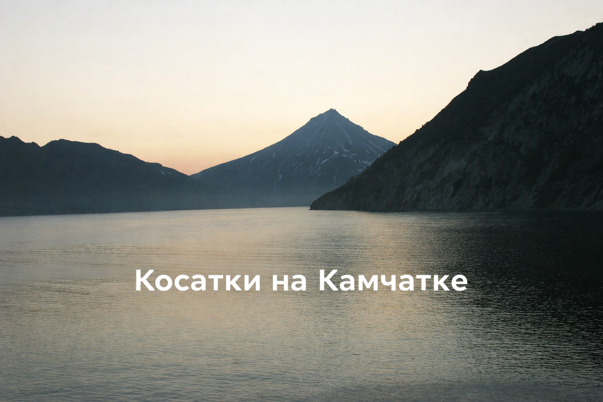 Фото из открытых источников