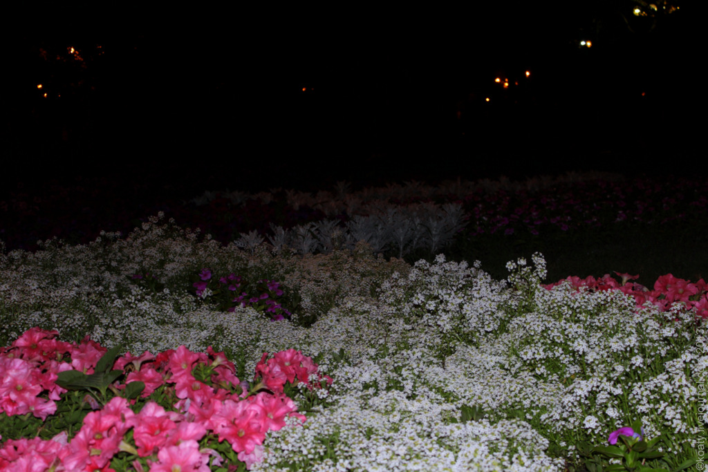 koaty.livejournal.com