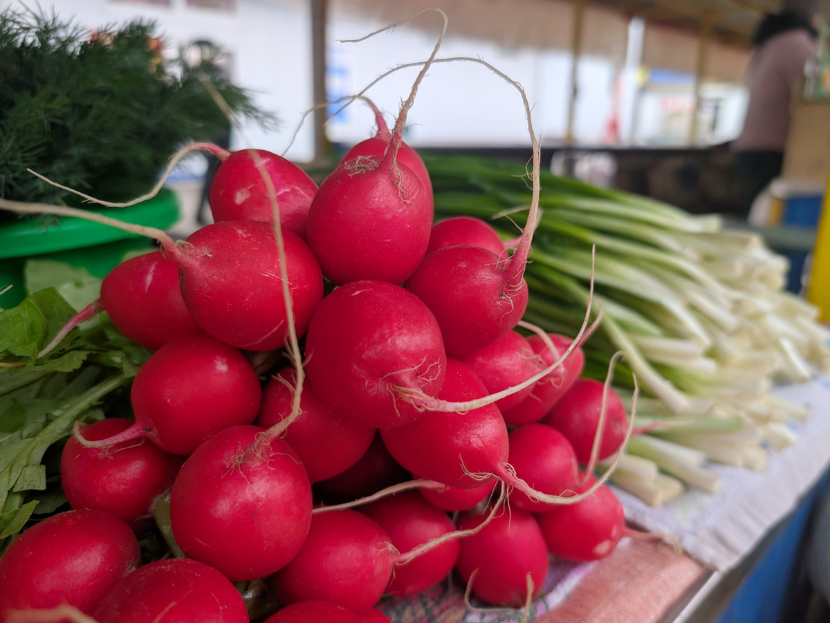    Редиска, лук, сметана и посолить. На сезонный рынок в Бобруйске – пора или не пора?
