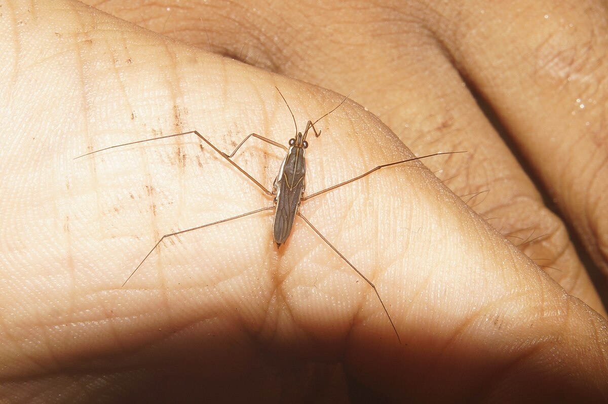 Эксперт прибыл. 