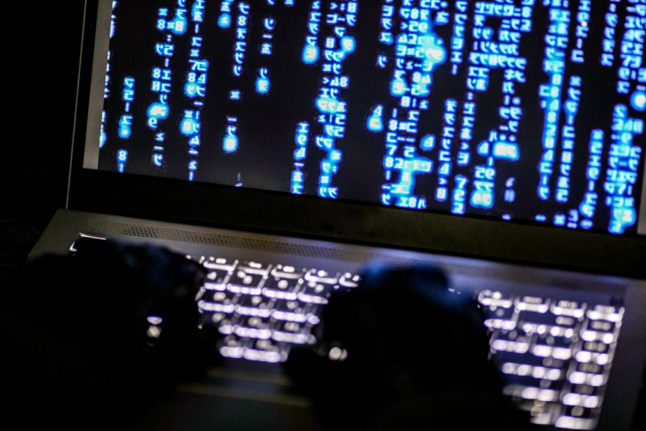    Сергей Лантюхов/NEWS.ru