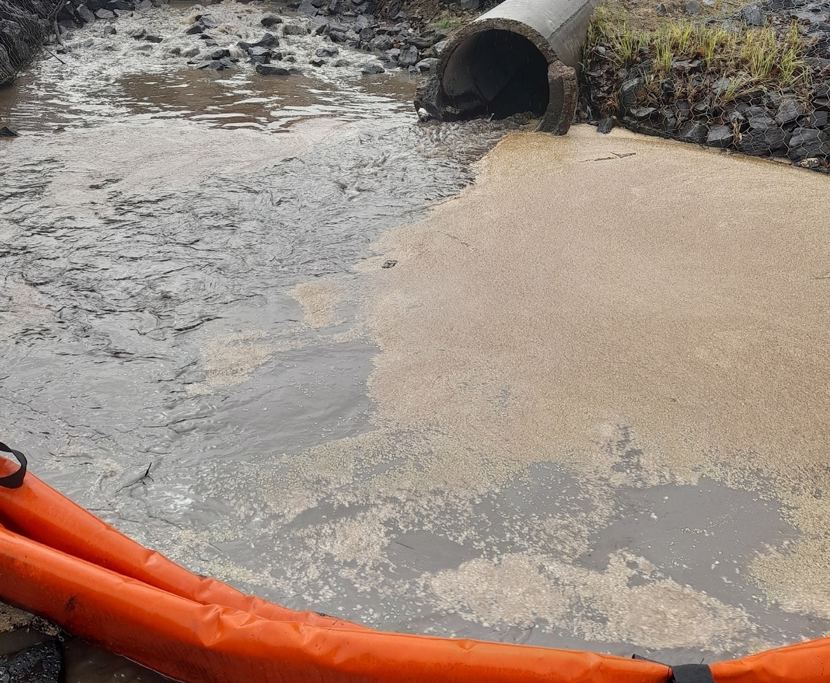    фото: © Ольга Тужикова