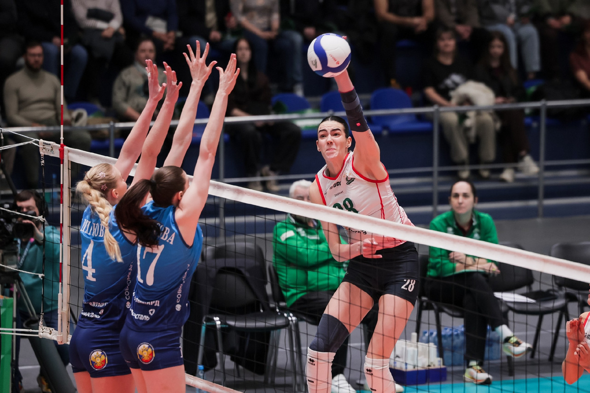 Фото: Алексей Колчин