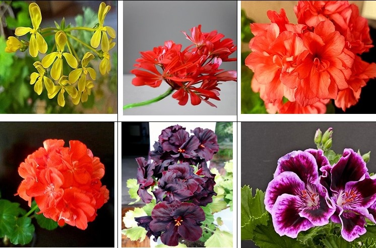 1 -6 - названия по списку ниже.