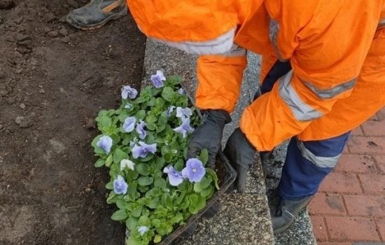    Фото: Администрация Орла