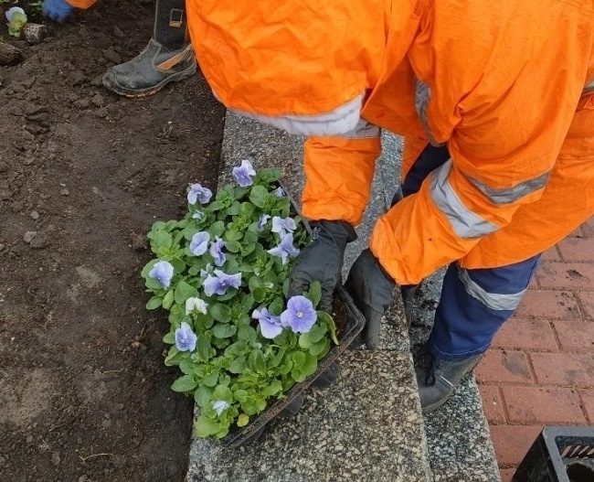    Фото: Администрация Орла