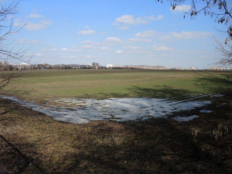   Геннадий Черкасов