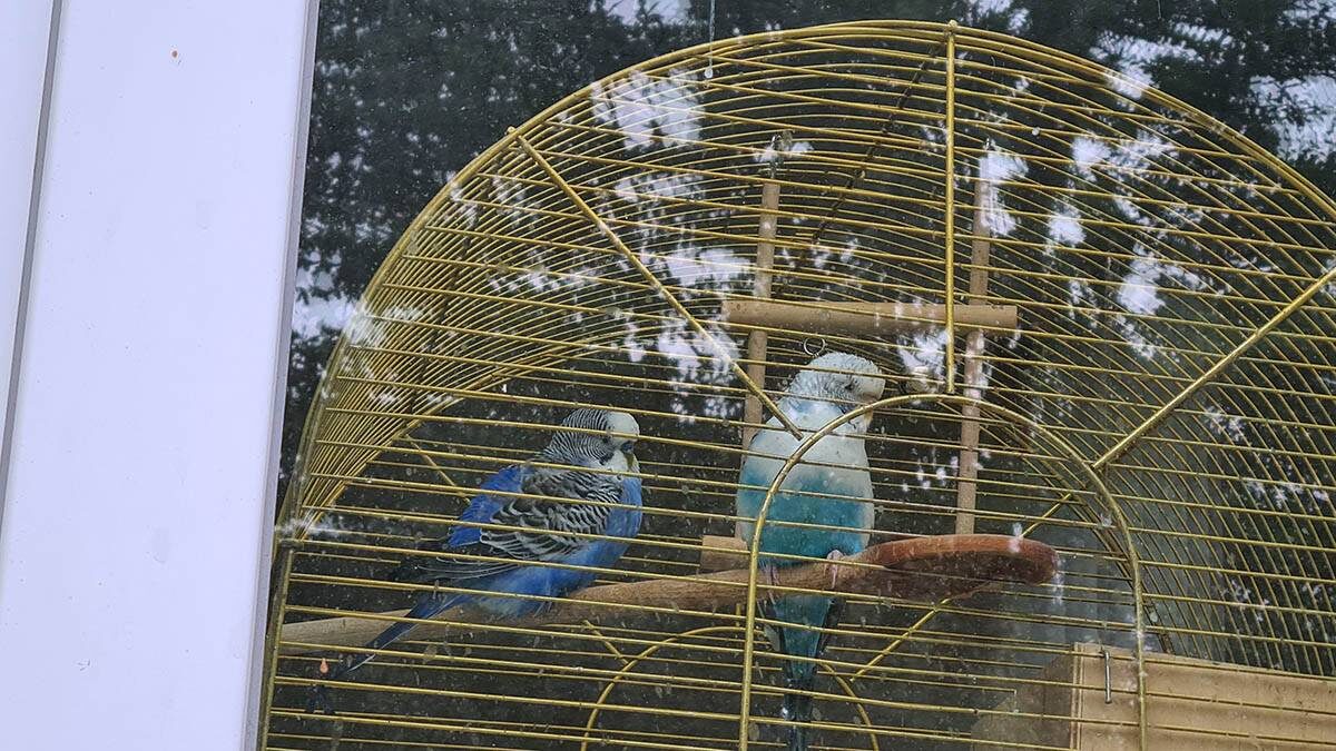    Фото: Денис Воронин / АГН Москва