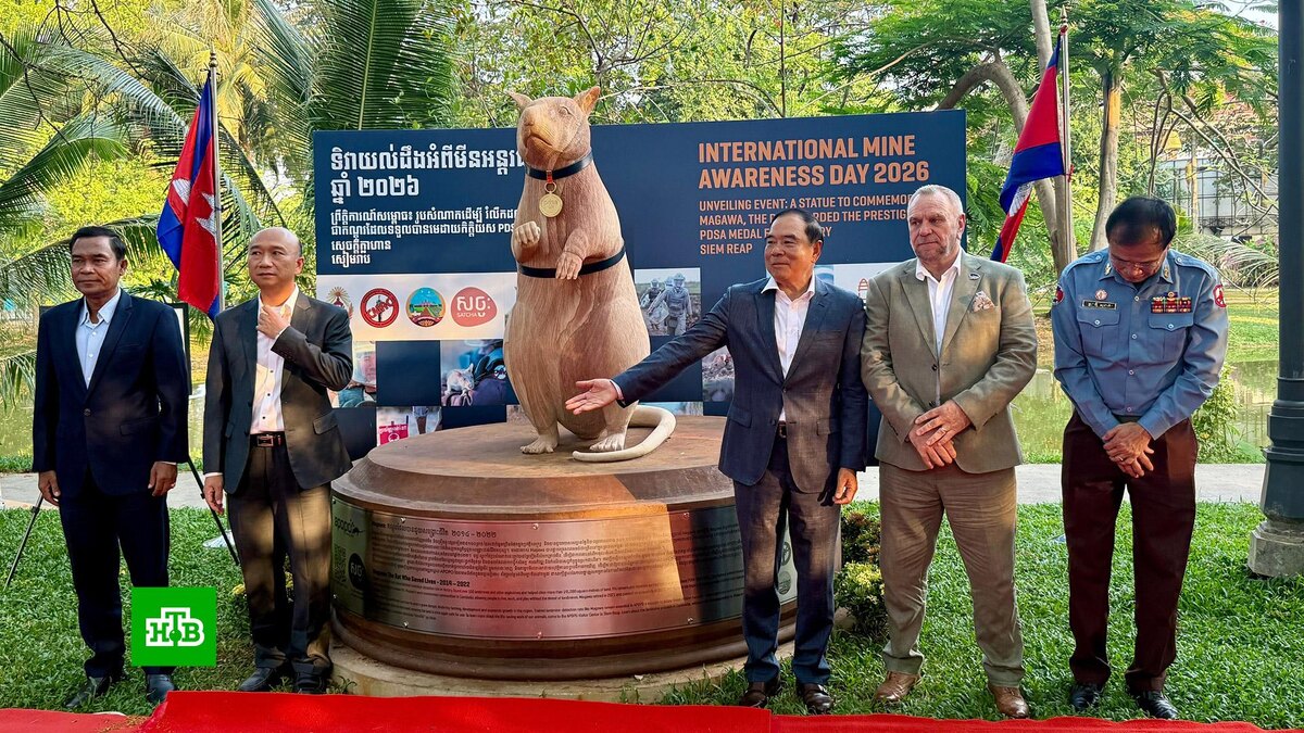    Фото: dpa / picture-alliance / TASS