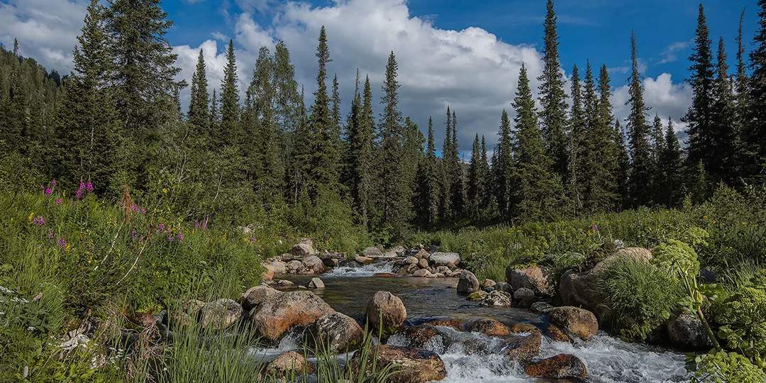 Ведьмёныш. Между мирами. Банька, тайга и лихоманка