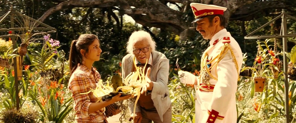 Кадр из фильма  «Джунгли зовут!». Этот и другие сделаны мною специально для статьи.