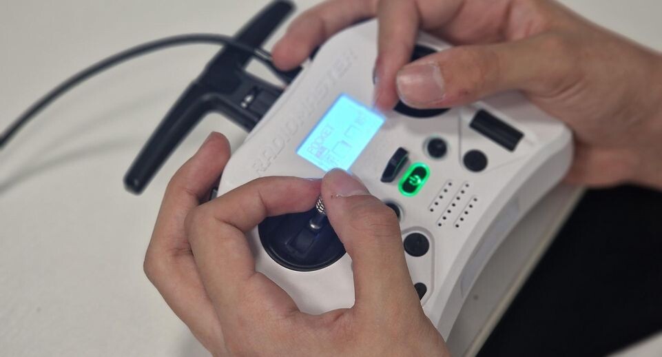    Виктория Фортуна