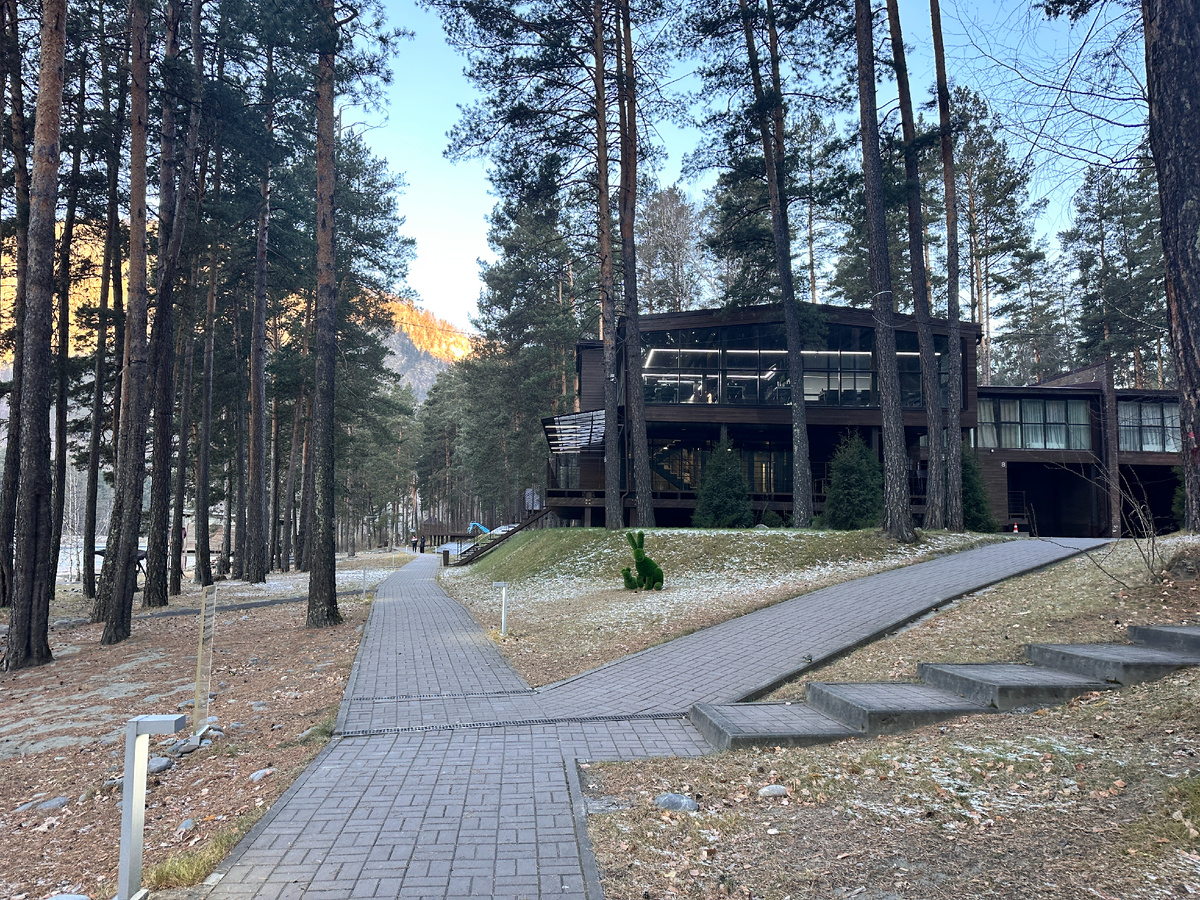 Территория Алтики