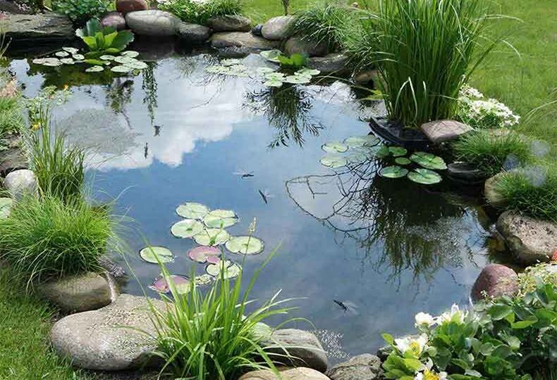 Декоративный прудик с азов: старт без переплат