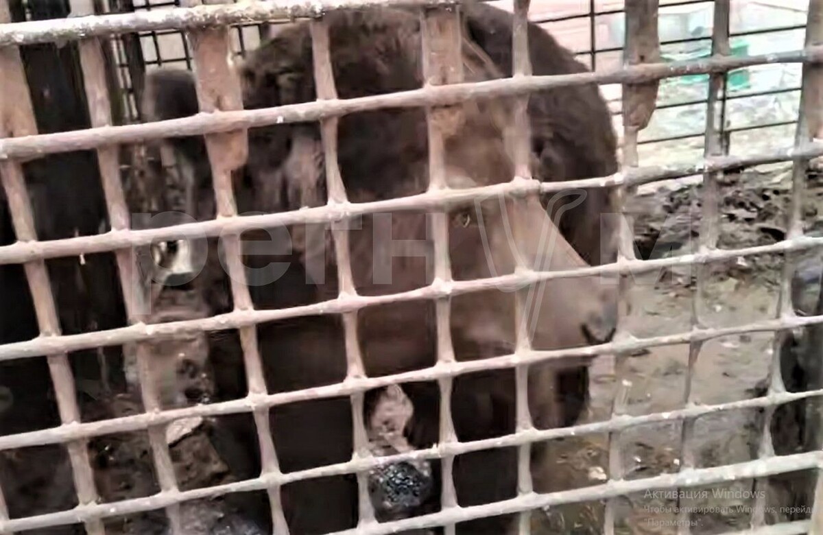     / Источник: Социальные сети