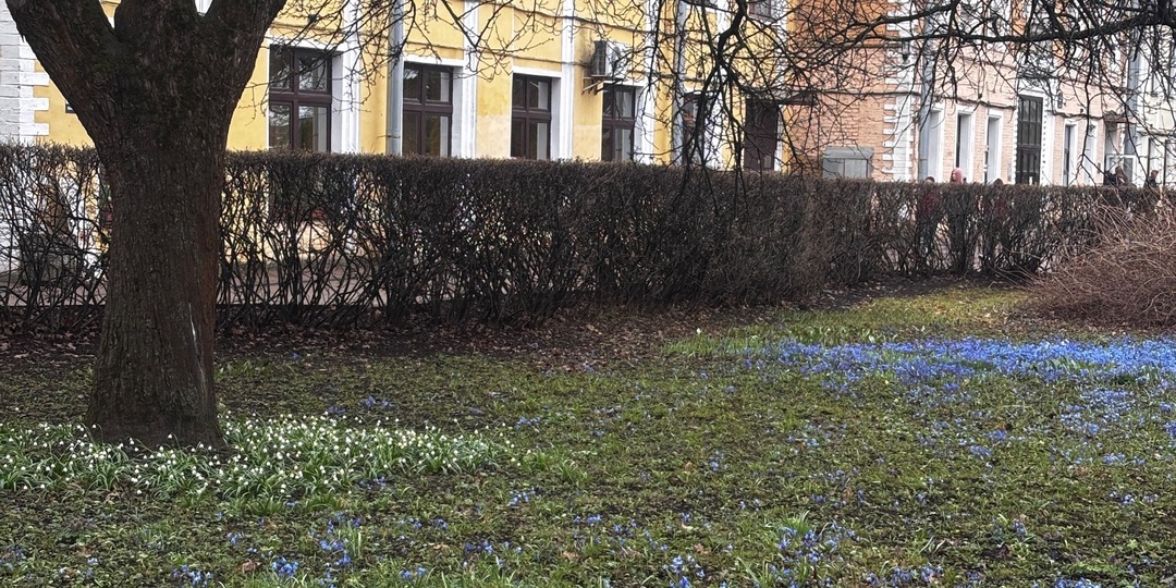 Поездка в Питер. День первый