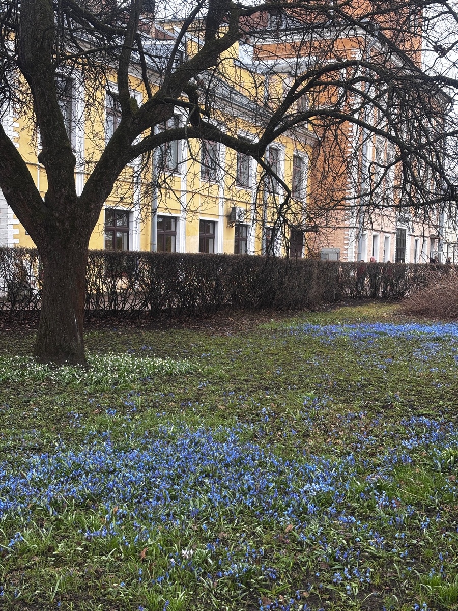 В Ботаническом саду.