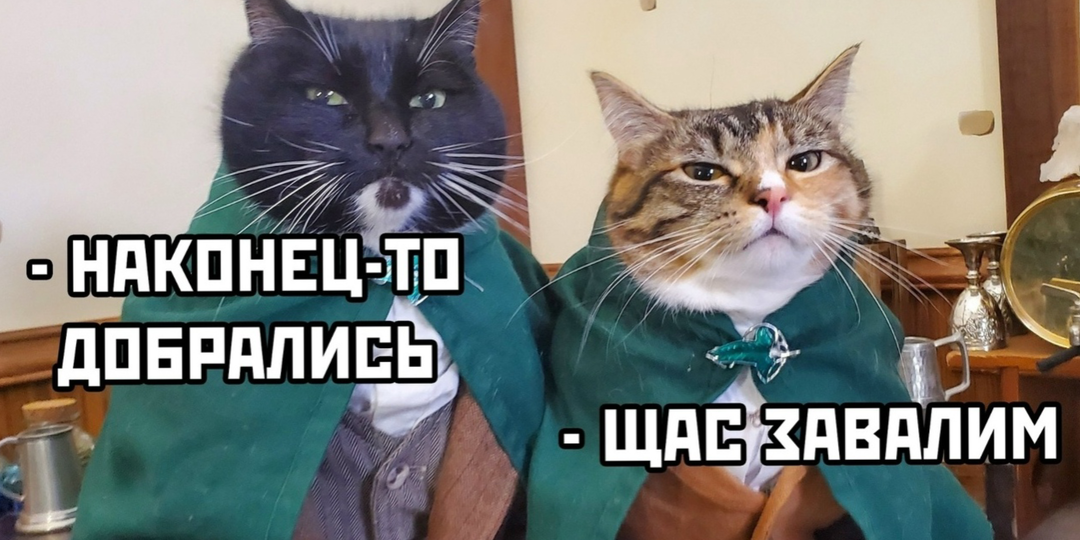 Как юмор помогает взбодриться? Веселая порция Мемов! 😂