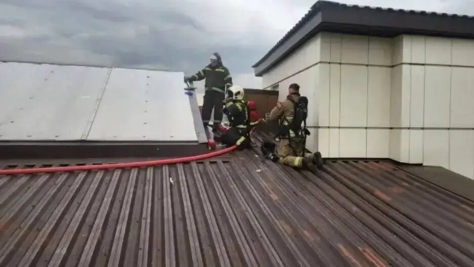    Источник: vm.ru/ Виктория Николаева