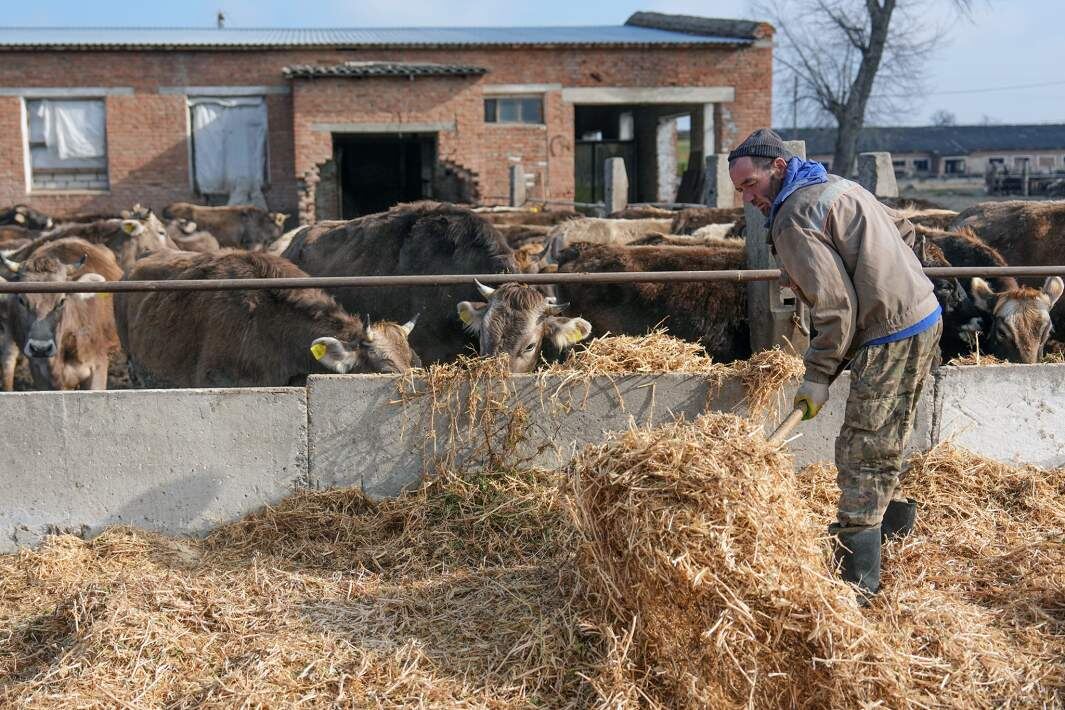 Фото: ИЗВЕСТИЯ/Эдуард Корниенко