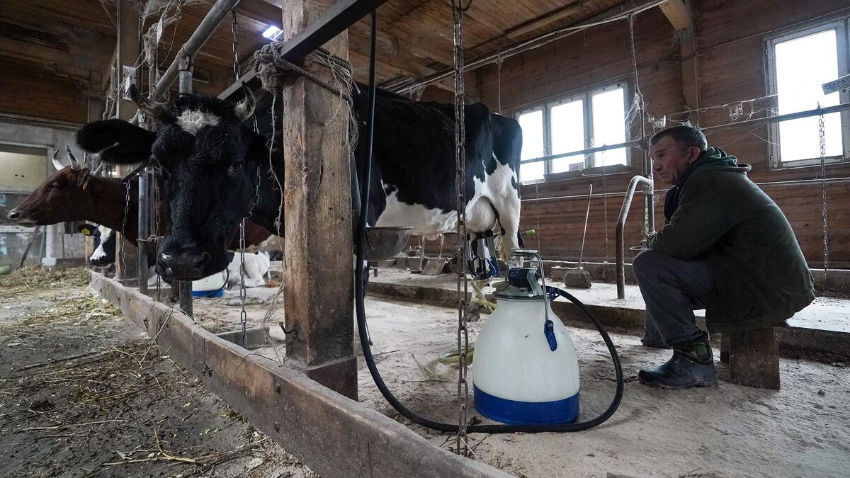 Фото: ИЗВЕСТИЯ/Эдуард Корниенко