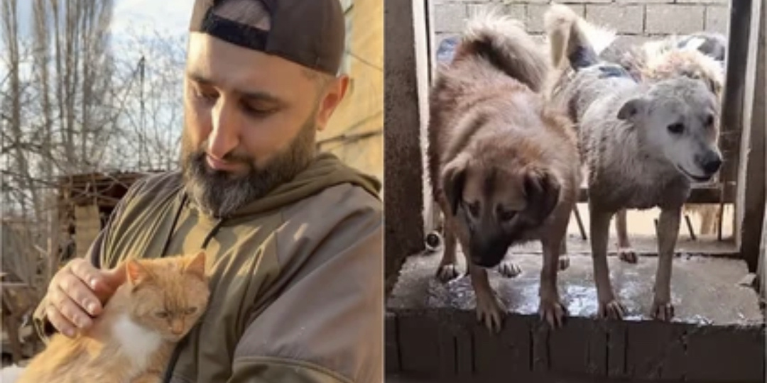 «Кот — всё, что у него осталось»: в Дагестане добровольцы по пояс в воде вытаскивают животных из ада