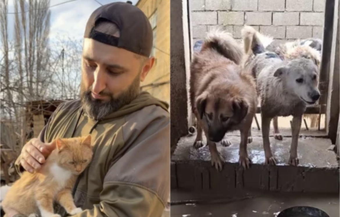 В Дагестане из потопа спасают котов, собак и черепах. Фото: стоп-кадр видео очевидцев