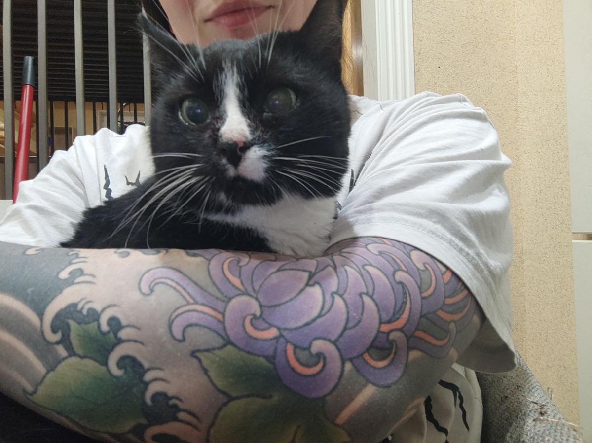 Примерно 4 месяца в приюте - Саша сидит на ручках.