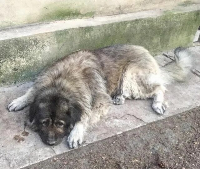 Пойди туда - не знаю куда...Глава 20