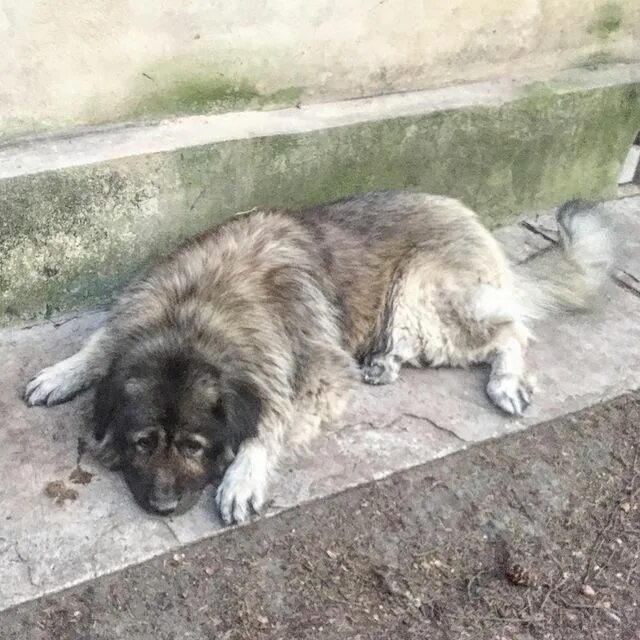 фото из интернета