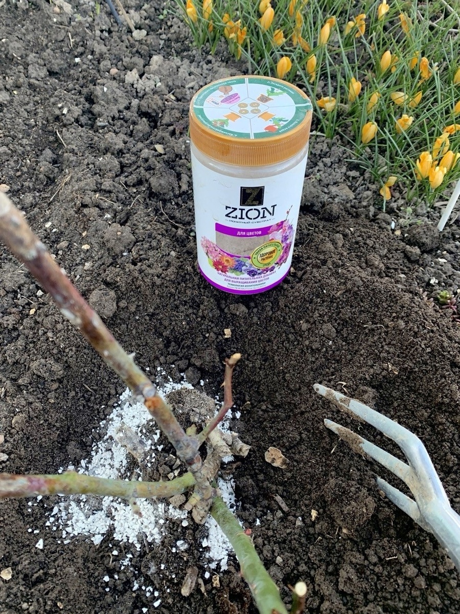 удобрение для подкормки многолетников