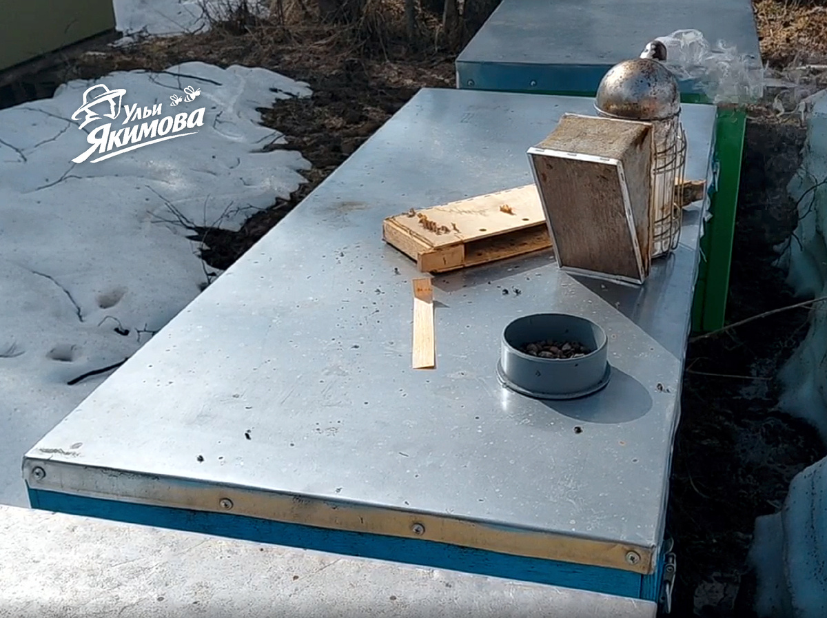 Ульи Якимова