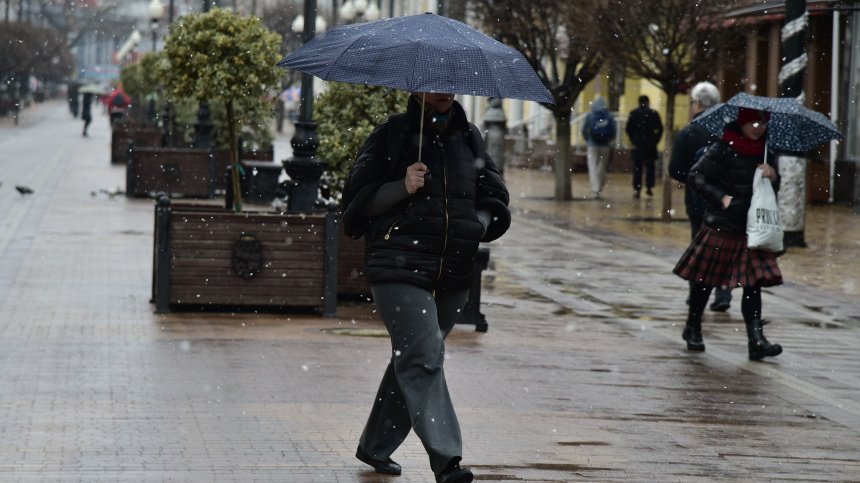    Фото: ИЗВЕСТИЯ/Александр Полегенько