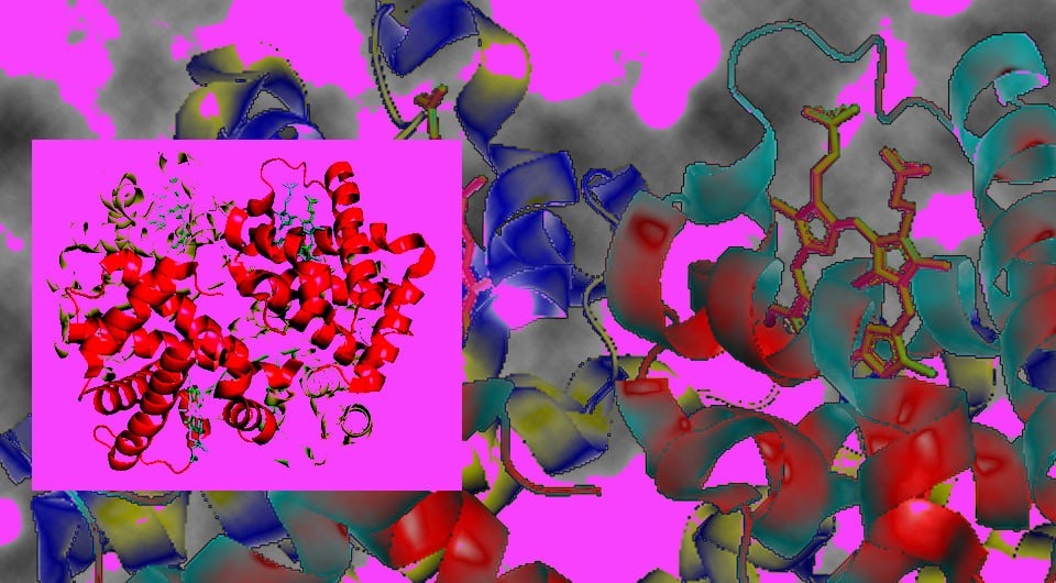   N + 1; Sciencingabout / Wikimedia Commons / CC BY-SA 4.0