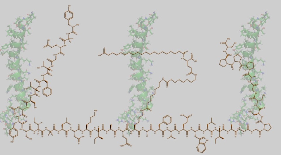   N + 1; Ayacop / Wikimedia Commons / Public Domain; Michael D. Turnbull / Wikimedia Commons / CC-BY-SA-4.0