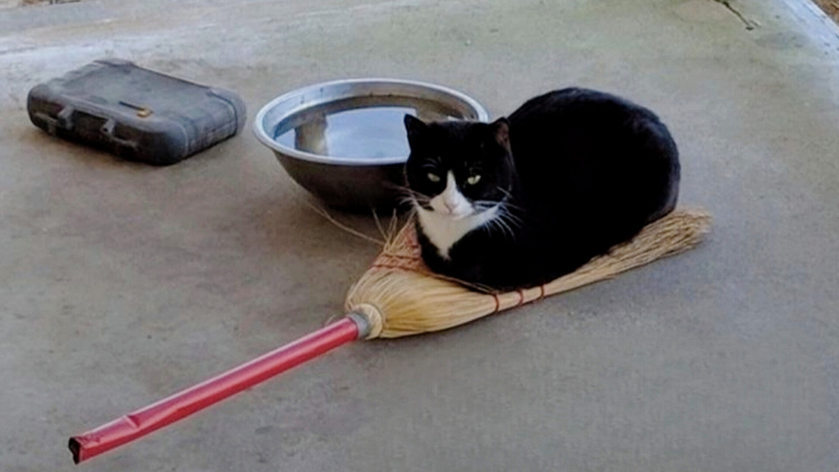 Севодни не летаешь...итак грехоф немеряно 