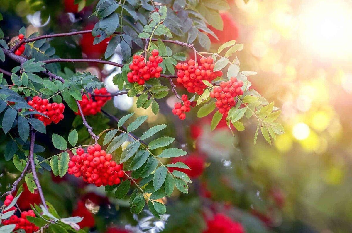 Фотография из интернета