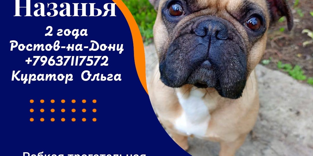 Начинаем поиск Семьи для рыжульки Назаньи