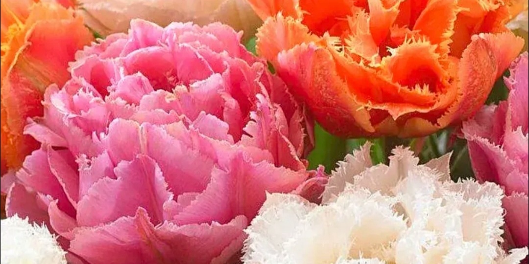 Весь день занималась уборкой