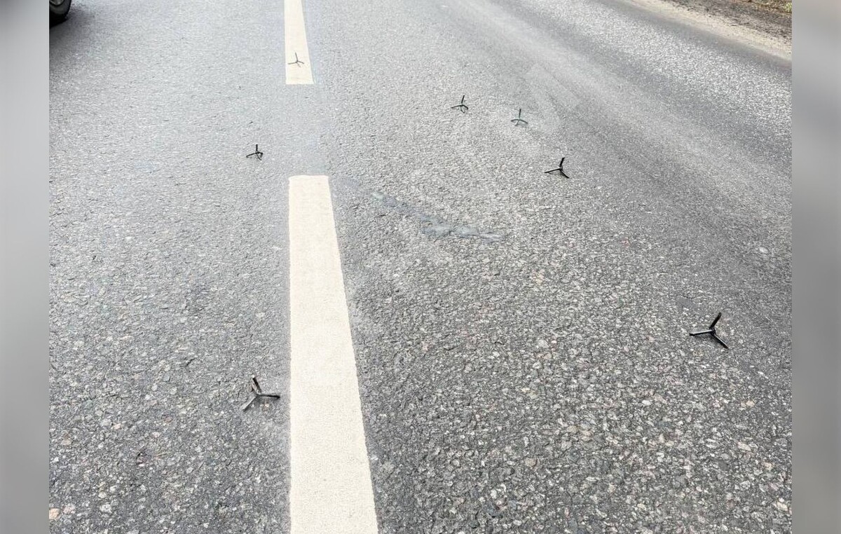     / Источник: Социальные сети