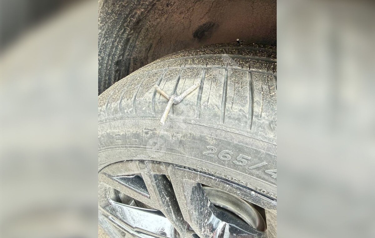     / Источник: Социальные сети