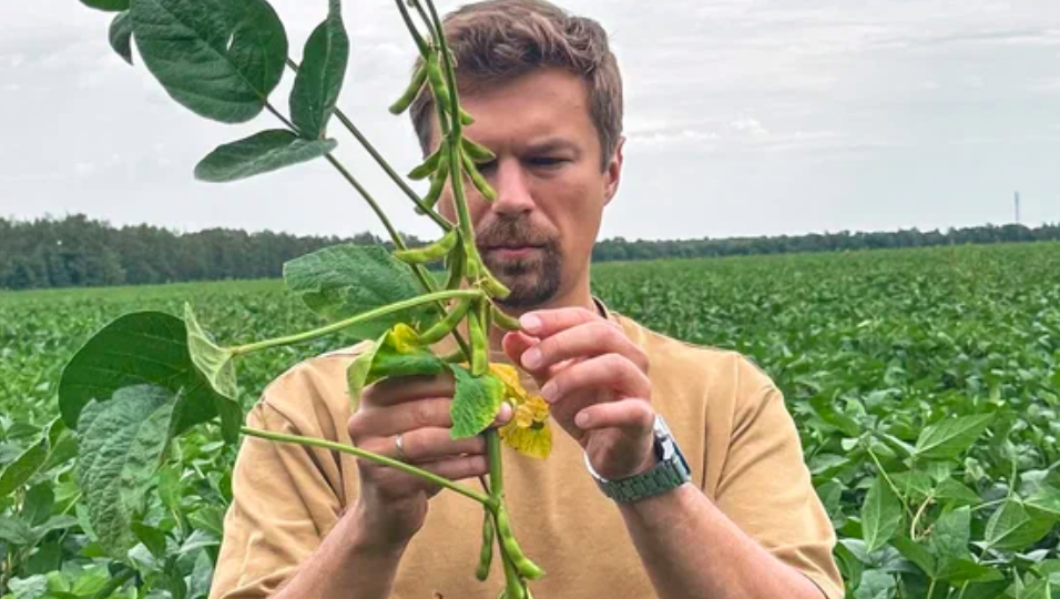 От поля до тарелки: как современное сельское хозяйство влияет на качество еды