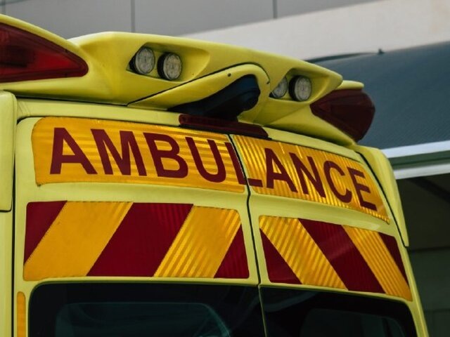    Фото: 123RF.соm/joseh51