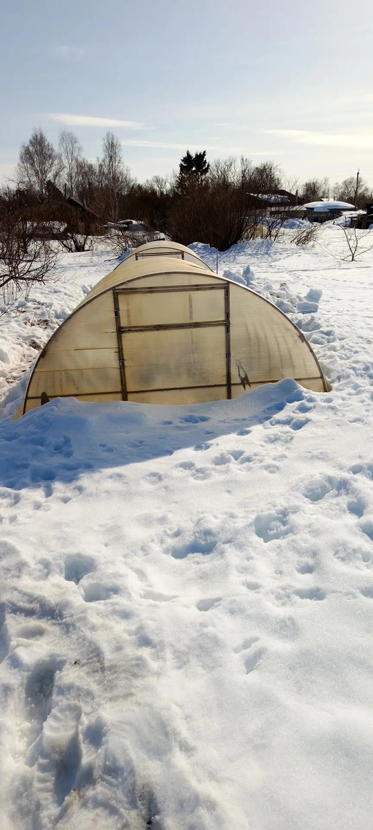 Теплицы были основательно засыпаны снегом