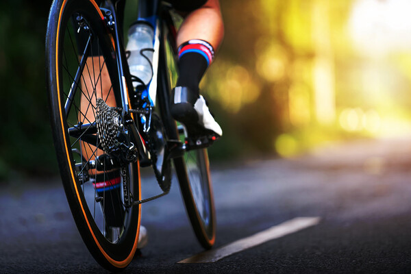 Shutterstock/FOTODOM   📷