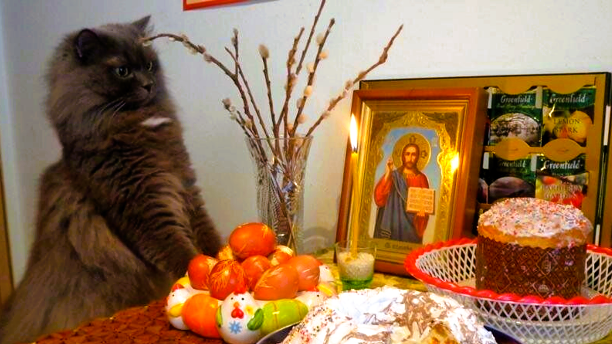 На рыбов значит, денег нет, а тут вон оно чё...