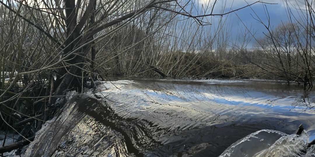 Вода идет — клев встает? Разрушаем мифы о половодье